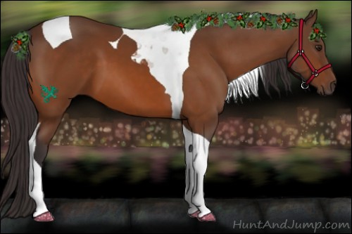 Horse Color:Buckskin Tobiano