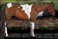 Horse Color:Buckskin Tobiano