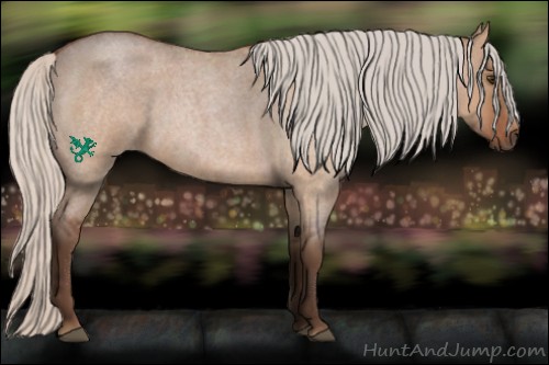 Horse Color:Silver Bay Roan Dun 