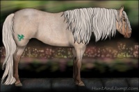 Horse Color:Silver Bay Roan Dun 