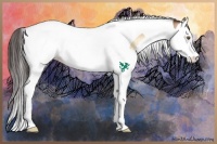 Horse Color:Amber Champagne Onyx Splash Tobiano