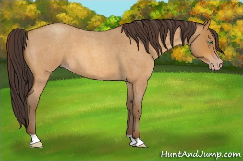 Horse Color:Sable Cream Champagne Roan