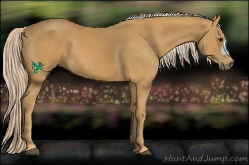 Horse Color:Palomino 