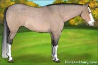 Horse Color:Bay Roan Dun Splash