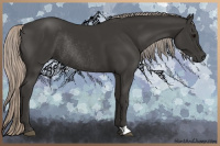 Horse Color:Gray Silver Black Rabicano 