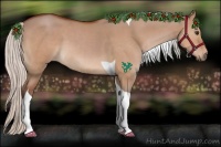 Horse Color:Silver Bay Dun Tobiano 