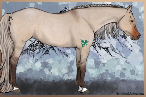 Horse Color:Silver Bay Roan Dun 