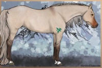 Horse Color:Silver Bay Roan Dun 