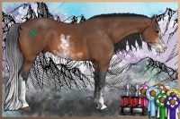 Horse Color:Bay Sabino 