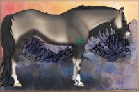 Horse Color:Blue Onyx 