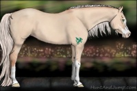 Horse Color:Silver Sable Champagne Dun Sabino