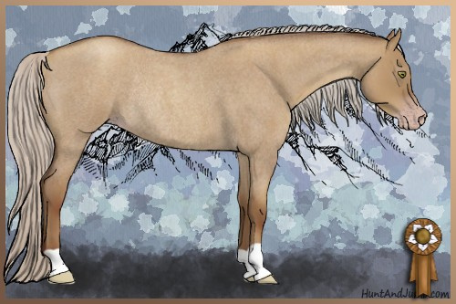 Horse Color:Gray Silver Classic Champagne Roan Dun Rabicano