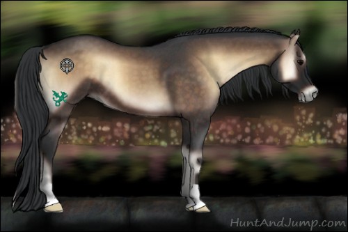 Horse Color:Brown Roan Onyx 