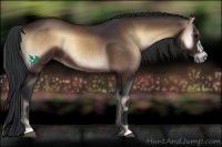 Horse Color:Brown Onyx 