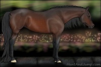 Horse Color:Brown 