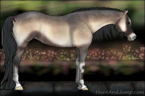 Horse Color:Bay Roan Onyx 
