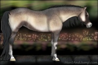 Horse Color:Bay Roan Onyx 