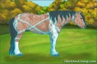 Horse Color:Thunderstruck Bay Ice 
