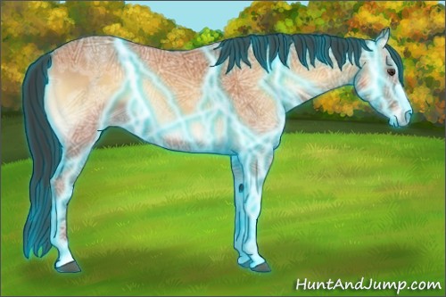 Horse Color:Thunderstruck Bay Ice Onyx