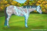 Horse Color:Thunderstruck Liver Red Ice Roan 