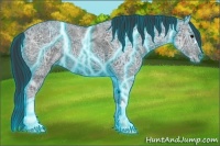 Horse Color:Thunderstruck Black Ice 