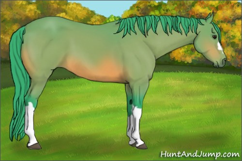 Horse Color:Watercolor Bay 