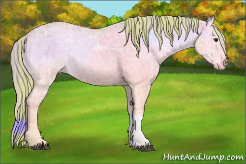 Horse Color:Watercolor Plaid  Red Onyx Ice 