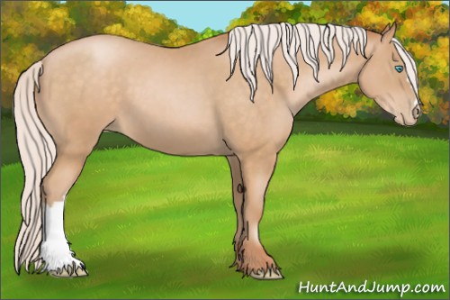 Horse Color:Silver Buckskin Pearl 
