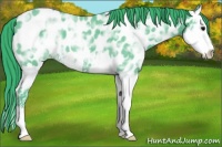Horse Color:Watercolor Blue Ice Roan Splash Appaloosa 
