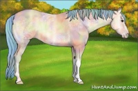 Horse Color:Nacre Watercolor Amber Champagne Ice Onyx