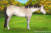 Horse Color:Amber Champagne Ice Roan Onyx Sabino Rabicano 