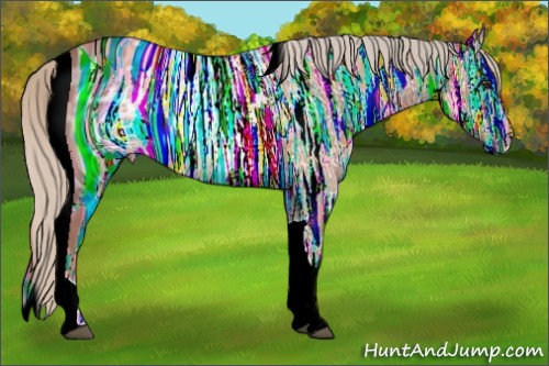 Horse Color:ERROR: UNKNOWN ANOMALY