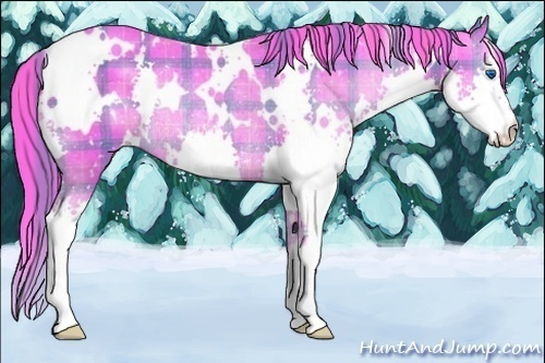 Horse Color:Watercolor Plaid  White Spotted Liver Chestnut Splash Appaloosa Rabicano 