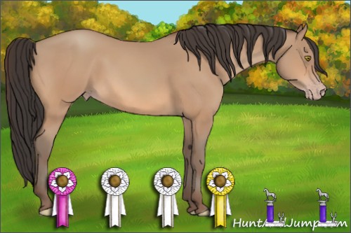 Horse Color:Amber Champagne 
