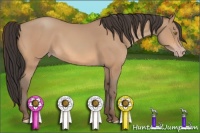 Horse Color:Amber Champagne 