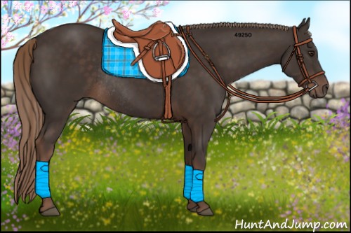 Horse Color:Liver Chestnut Rabicano 