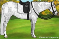 Horse Color:White Spotted Silver Grullo Chinchilla Ice Roan 