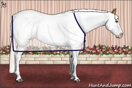 Horse Color:White Spotted Palomino Splash 