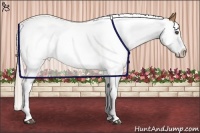 Horse Color:White Spotted Palomino Splash 