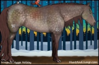 Horse Color:Platinum Chocolate Buckskin 
