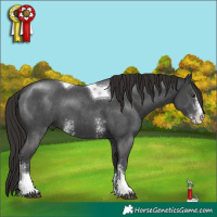 Horse Color:Liver Chestnut Sabino Tobiano