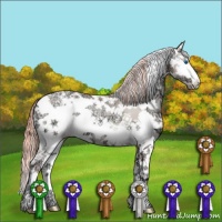 Horse Color:Chocolate Classic Champagne Ice Pearl Onyx Sabino Splash 