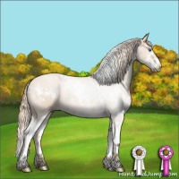 Horse Color:White Spotted Red Dun Sabino Splash Brindle 