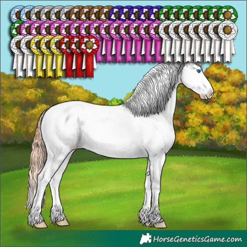 Horse Color:White Spotted Chocolate Blue Onyx Ice Pearl Sabino Splash Varnish Brindle 