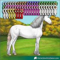 Horse Color:White Spotted Chocolate Blue Onyx Ice Pearl Sabino Splash Varnish Brindle
