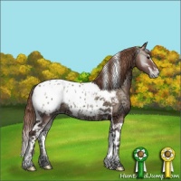 Horse Color:Chocolate Blue Onyx Ice Pearl Sabino Tobiano Appaloosa