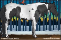 Horse Color:Black Tobiano