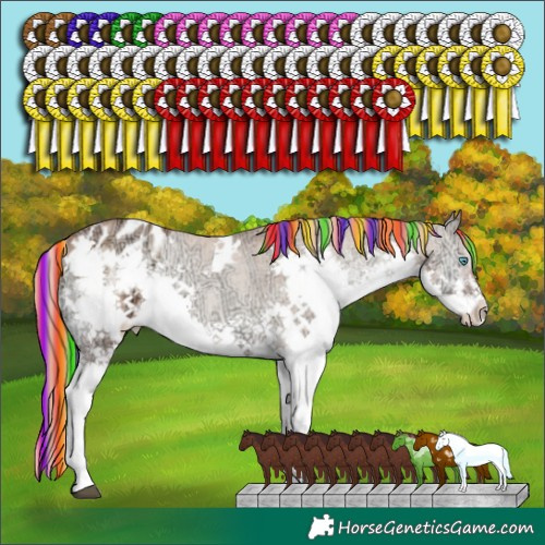 Horse Color:Painted White Spotted Chocolate Blue Onyx Ice Pearl Sabino Splash Appaloosa Brindle 