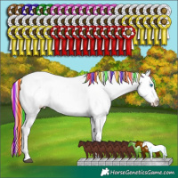 Horse Color:Painted White Spotted Chocolate Blue Onyx Ice Pearl Sabino Splash Appaloosa Brindle 