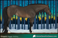 Horse Color:Gray Brown Dun 